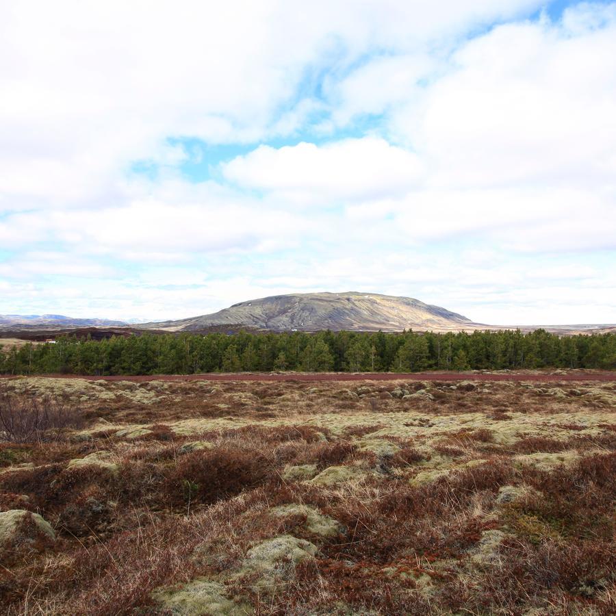 Kerbyggd: Luxury House And Cottage In Golden Circle Selfoss Ngoại thất bức ảnh