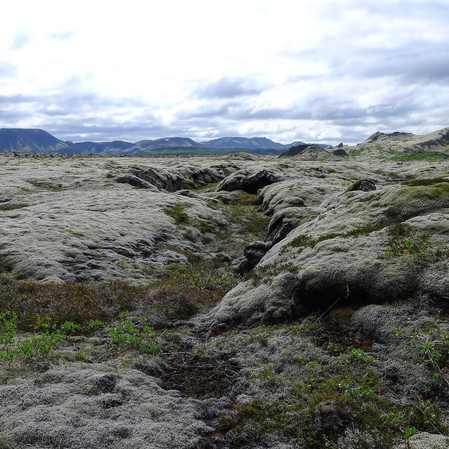 Kerbyggd: Luxury House And Cottage In Golden Circle Selfoss Ngoại thất bức ảnh